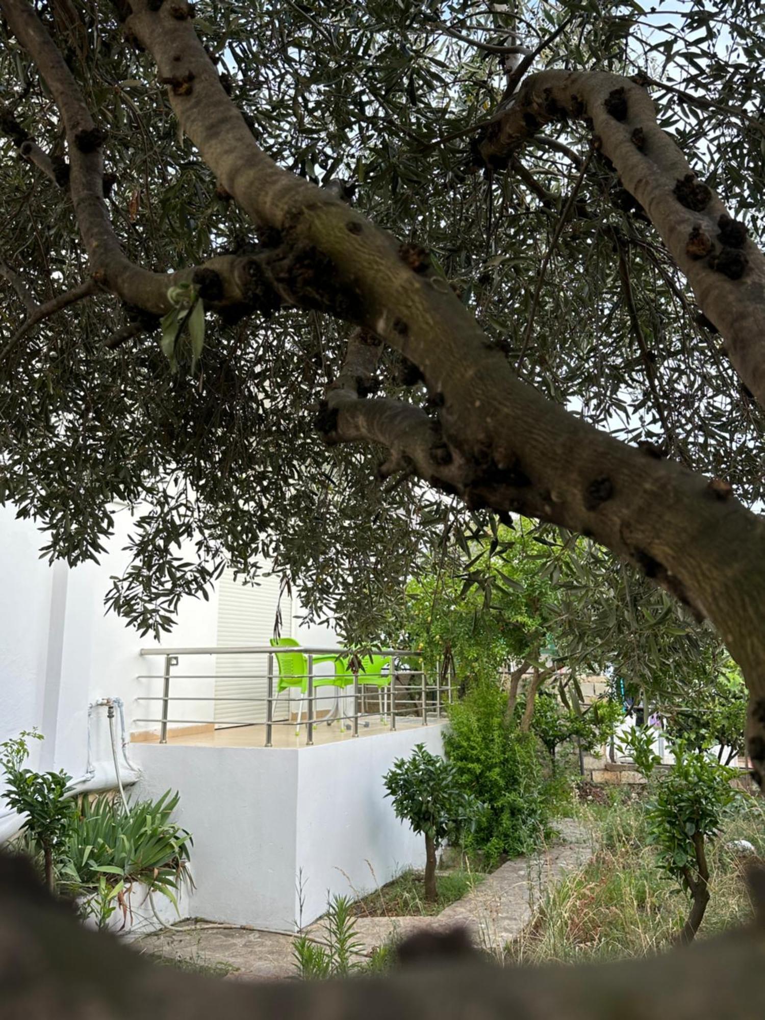 Ferienwohnung Anxhi Ksamil Exterior foto